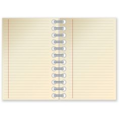 Open notebook N12