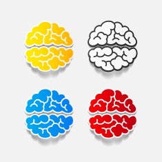 realistic design element brain N52