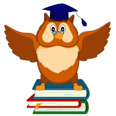 owl sits on the books N2