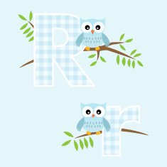 Alphabet for baby boy with owl vector letters R N2
