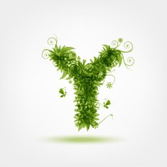 Green eco letter Y for your design