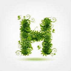 Green eco letter H for your design