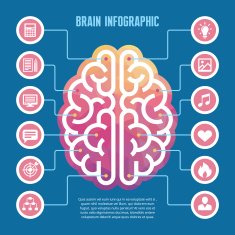 Brain infographic - vector concept illustration with icons