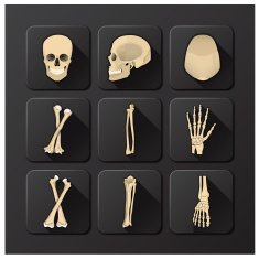 Skull And Bone Medical Health Icon Set