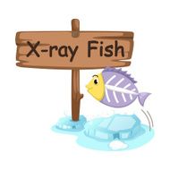 animal alphabet letter X for x-ray fish N2