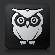 Black Square Button with Owl