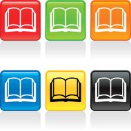 Open Book Icon N32