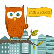 Owl student N3