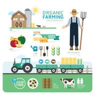 Organic Clean Foods Good Health Template Design Infographic