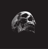 Skull Engraving On Black Background