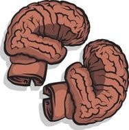 brain boxing gloves