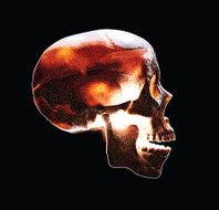 Skull Side View Color