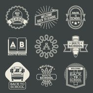 Retro design insignias back to school logotypes set
