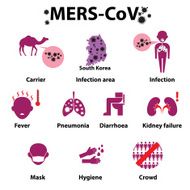 MERS-COV or Middle East Respiratory Syndrome Corona Virus Infographics