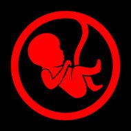 Fetus Icon Isolated on Black Background