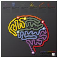 Brain Shape Education And Graduation Connection Timeline Infographic