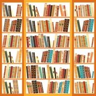 Large bookcase with different books N2