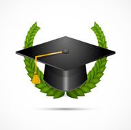 Vector graduation hat