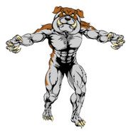 Bulldog claws out