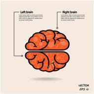 left and right brain sign for business ideas