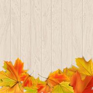 Autumn Background N15