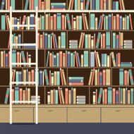 Bookcase With Ladder Vector Illustration