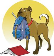 school dog