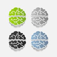 realistic design element brain N54