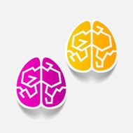 realistic design element brain N56