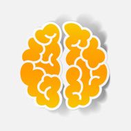 realistic design element brain N58