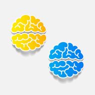 realistic design element brain N60