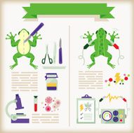 info-graphics of biology
