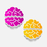 realistic design element brain N62