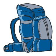 Backpack N20