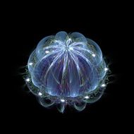 Abstract underwater background N2