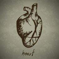 Doodle Human heart N2