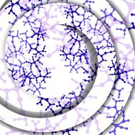 Dna colorful illustration N254