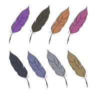 Eight plain feathers