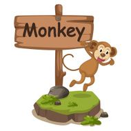 animal alphabet letter M for monkey N2
