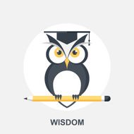 Wisdom N2