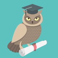 Wise Owl N24