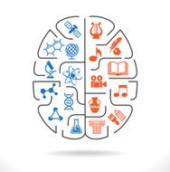 Brain Idea sciences and arts