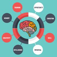 Vector infographics of abilities and qualities the human brain