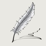 feather N11