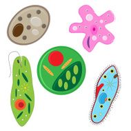 vector unicellulars set