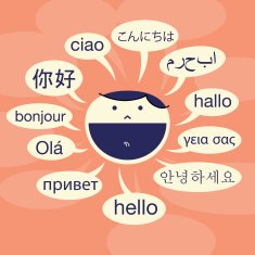 Language Savvy N2