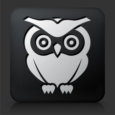 Black Square Button with Owl