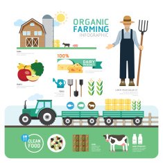 Organic Clean Foods Good Health Template Design Infographic