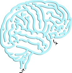 Brain labyrinth