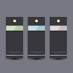 Infographic template N15
